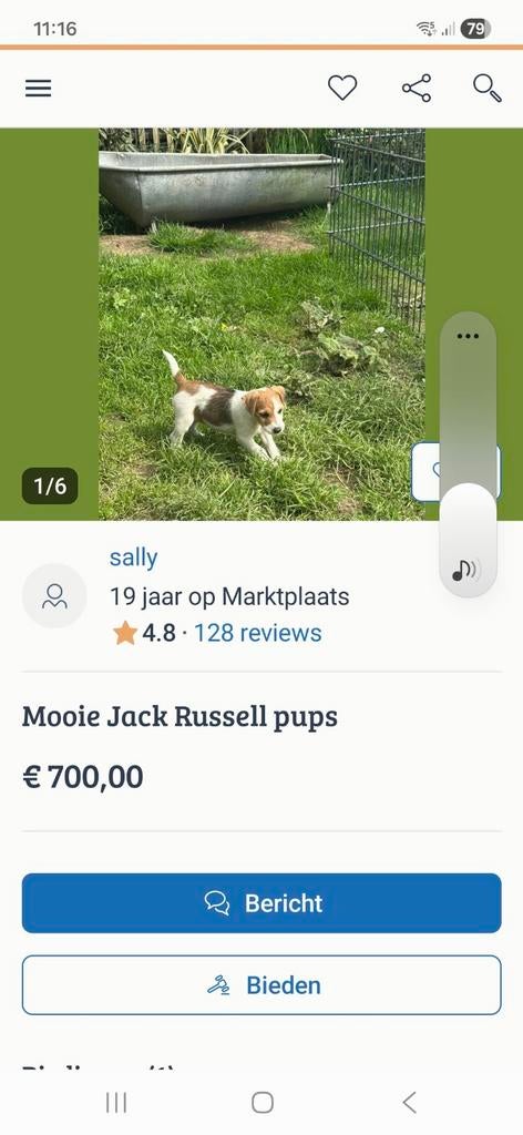 LET OP:koop geen hond bij Sally uit Hoensbroek. Zie tekst!!, 15 weken tot 1 jaar, Teef, Eén hond, Nederland