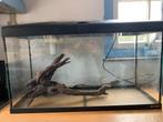 Ferplast aquarium 100L, Dieren en Toebehoren, Ophalen, Leeg aquarium