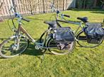 2x Giant Twist e-bike, 55 cm of meer, Ophalen, Gebruikt, Meer dan 20 versnellingen
