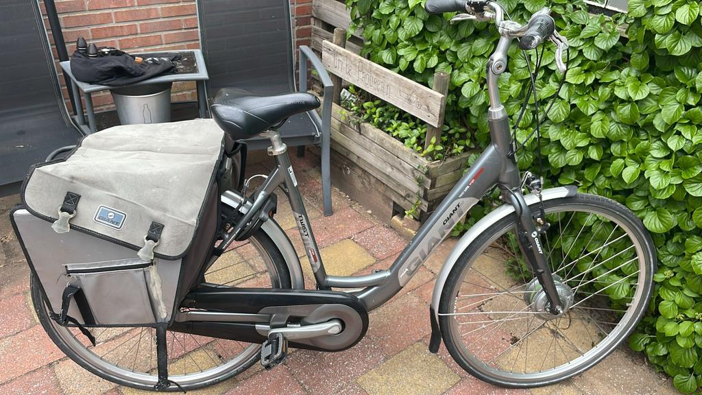 Te koop Giant twist opknapper, Ophalen, Zo goed als nieuw, Overige merken