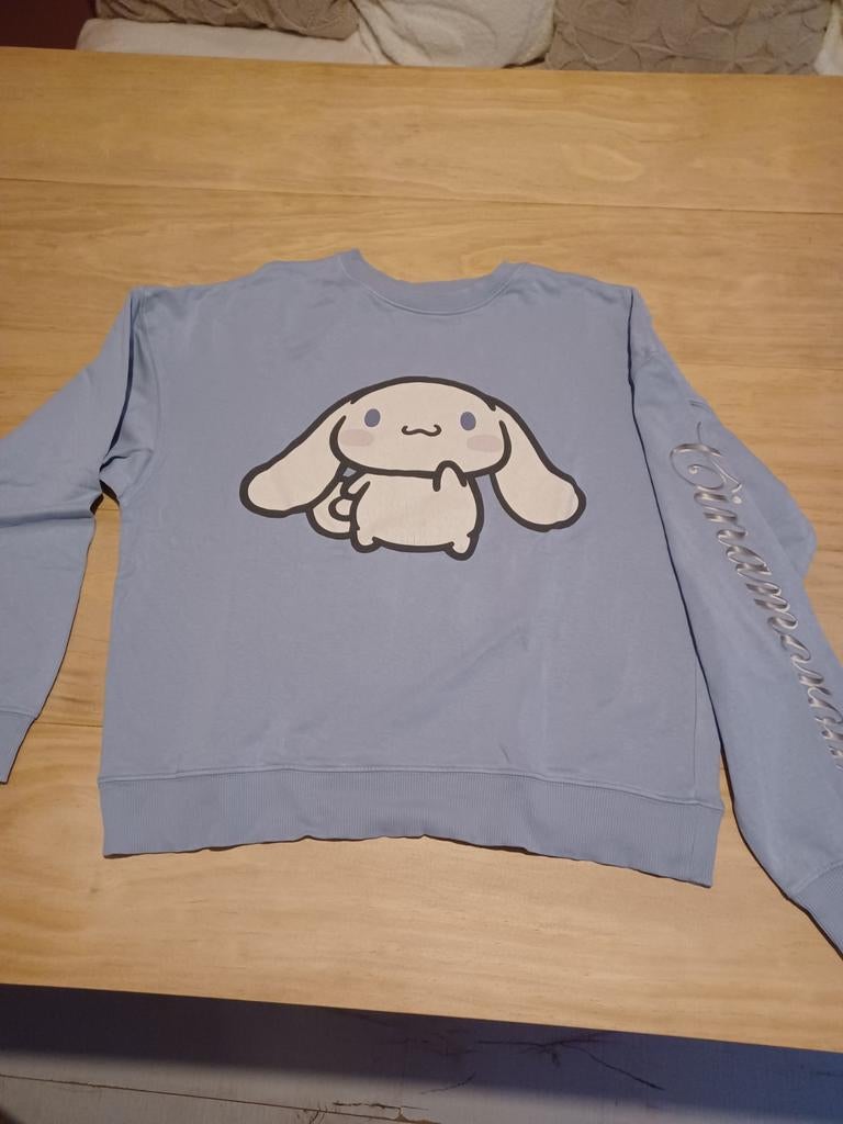 H&M Sanrio Cinnamoroll sweater maat 170, Kinderen en Baby's, Kinderkleding | Maat 176, Ophalen of Verzenden