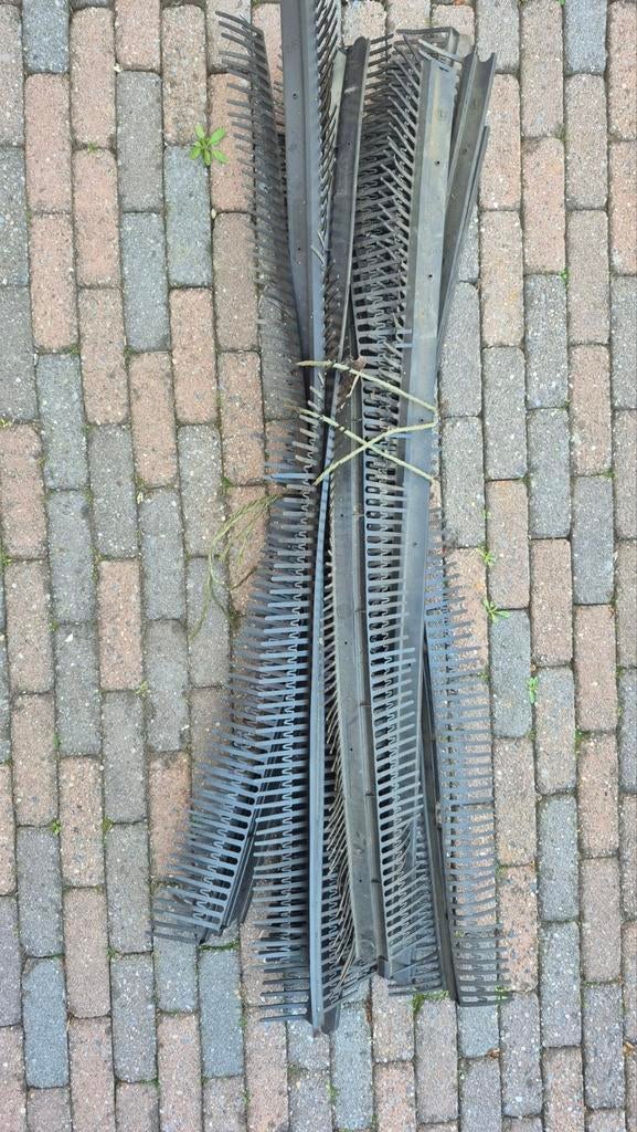 11x Vogelschroot met muiswering - 1 meter breed, Ophalen of Verzenden