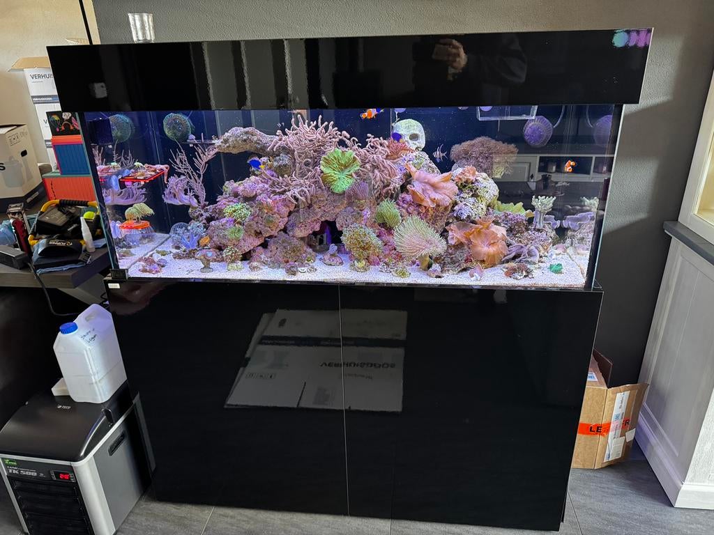 Compleet zeeaquarium aquaja diamond line 535, Dieren en Toebehoren, Ophalen, Gevuld zoetwateraquarium
