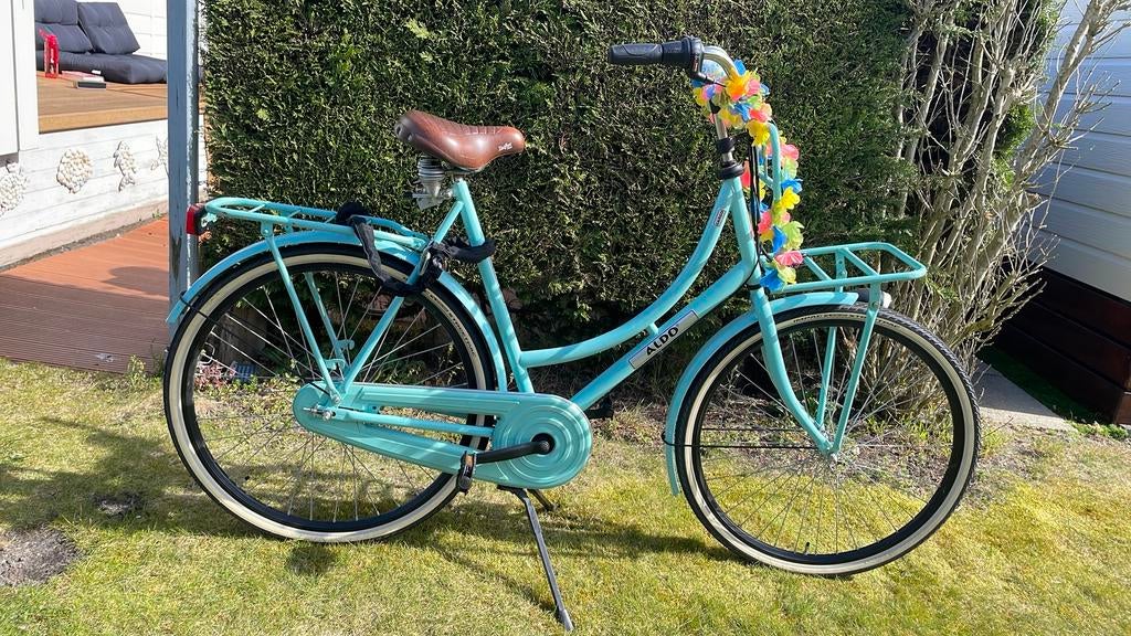 Stijlvolle dames cargo fietsen | Aldo Cargo „Miss Graze“, 56 cm of meer, Ophalen, Gebruikt, Versnellingen