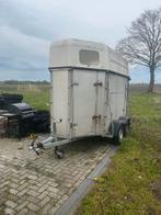 Paarden trailer te koop
