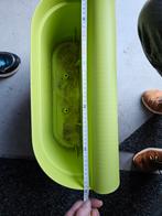 Plantenbak buiten voor balkon, Tuin en Terras, Ophalen, Kunststof, Balkon, Minder dan 30 cm