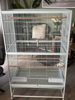 Grote kooi, Dieren en Toebehoren, Vogels | Hokken en Kooien, Ophalen, Zo goed als nieuw, Metaal, Vogelkooi