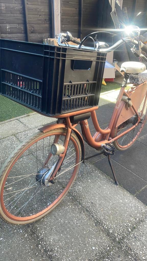 Sparta lola jo, 51 tot 55 cm, Ophalen of Verzenden, Gebruikt, Sparta