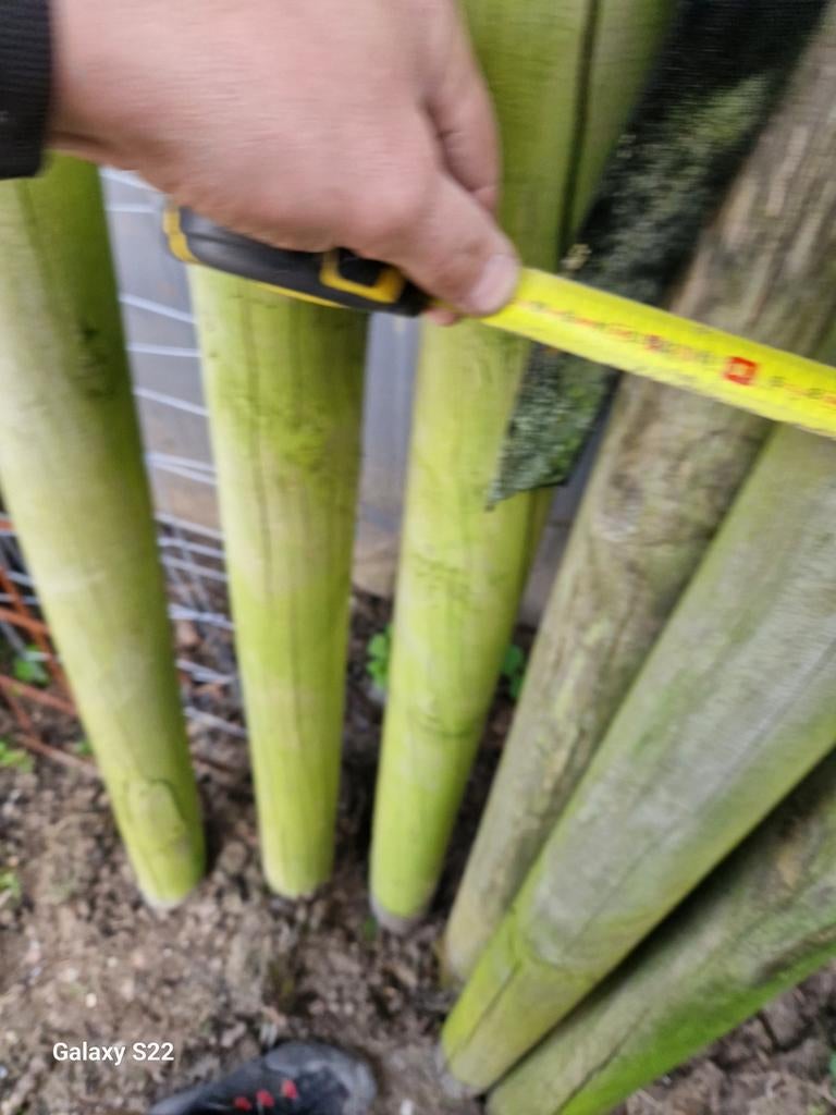 Div. palen aangeboden, Tuin en Terras, Tuinhekken en Hekwerk, Ophalen, Zo goed als nieuw, IJzer, Enkelstaafmat hekwerk
