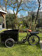 Electronische Bakfiets Troy, Ophalen of Verzenden, Gebruikt, 4 kinderen of meer, Elektrisch