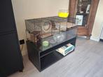 Hamsterkooi met spullen, Dieren en Toebehoren, Kooi, Gebruikt, Hamster, 75 tot 110 cm