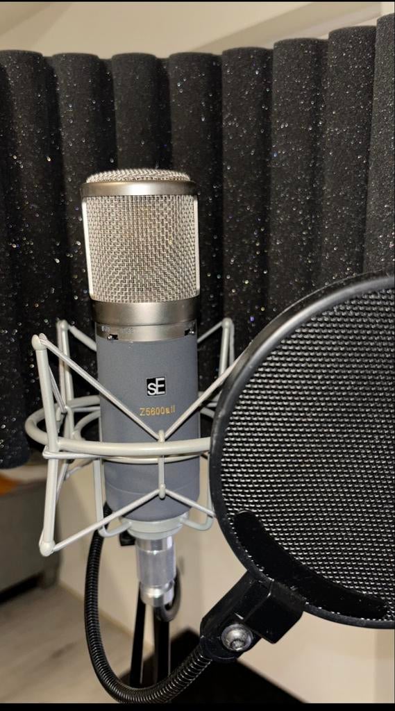 SE Electronics Z5600a II microfoon, Muziek en Instrumenten, Microfoons, Ophalen of Verzenden, Gebruikt, Studiomicrofoon