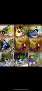 GEZOCHT ???  Roodkop pop gouldamadine, Ophalen