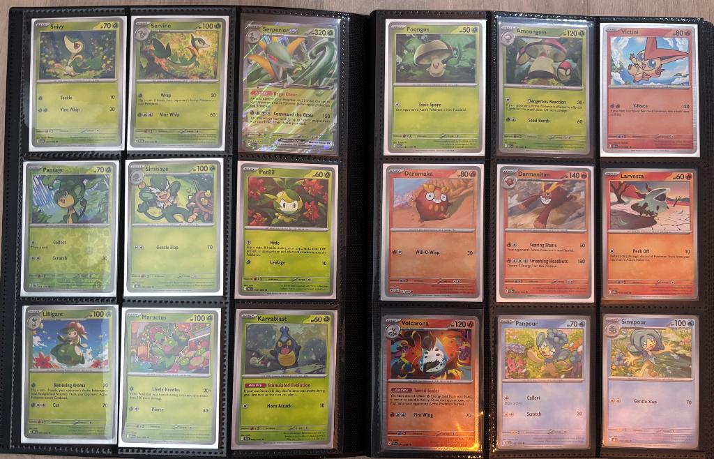 Pokemon Black Bolt, Ophalen, Zo goed als nieuw, Speelkaart(en)