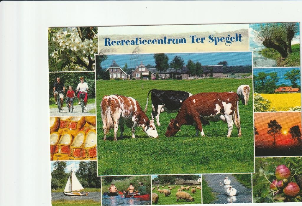 EERSEL TER SPEGELT KOEIEN, Verzenden, 1980 tot heden, Gelopen, Noord-Brabant