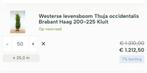 50 coniferen 200-225, Tuin en Terras, Planten | Struiken en Hagen, Ophalen of Verzenden, Conifeer, 100 tot 250 cm