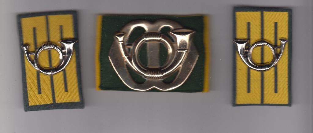 baretembleem en set kraagpatten Garde Jagers, Verzamelen, Militaria | Algemeen, Ophalen of Verzenden, Landmacht, Nederland, Embleem of Badge