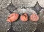 Fruit terra cotta, Tuin en Terras, Bloempotten, Rond, Zo goed als nieuw, Aardewerk, Tuin