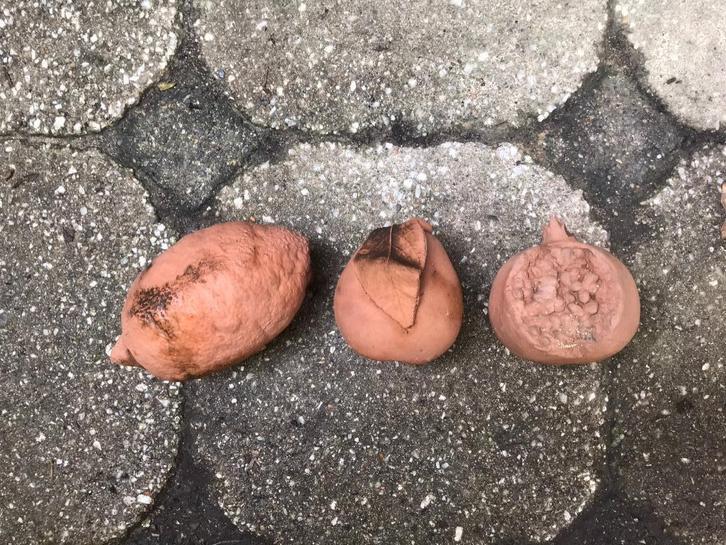 Fruit terra cotta, Tuin en Terras, Bloempotten, Zo goed als nieuw, Aardewerk, Binnen, Balkon, Tuin, Minder dan 40 cm, Minder dan 25 cm