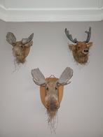 Set van 3 dierenkoppen: 2x eland, 1x hert, wanddecoratie, Huis en Inrichting, Ophalen, Gebruikt