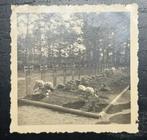 Foto der helden friedhof auf der grebbelinie, Verzamelen, Militaria | Tweede Wereldoorlog, Verzenden, Landmacht, Duitsland, Foto of Poster