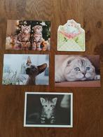 5 ansichtkaarten met katten - poezen (1)., Ophalen of Verzenden, Ongelopen, Hond of Kat