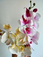 Grote orchidee 70 cm - nieuwe takken - diverse kleuren, Nieuw, Ophalen of Verzenden