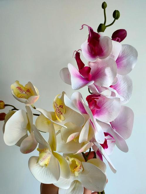 Grote orchidee 70 cm - nieuwe takken - diverse kleuren, Huis en Inrichting, Woonaccessoires | Kunstplanten en Kunstbloemen, Nieuw