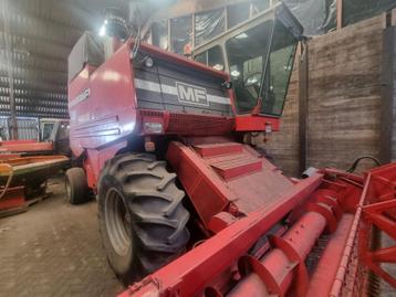 Maaidorser / Combine Massey Ferguson 755 / Nieuwe advertent beschikbaar voor biedingen