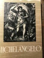 Michelangelo door Dino Formaggio, Boeken, Gelezen, Ophalen of Verzenden, Schilder- en Tekenkunst