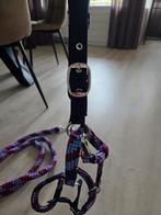 Halsterset nieuw!, Dieren en Toebehoren, Ophalen of Verzenden, Nieuw, Overige soorten