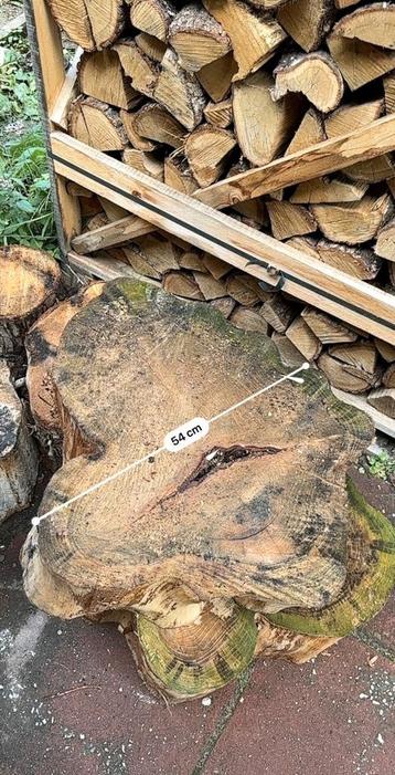 Boomstam / boomstronk om bv een salontafel van te maken beschikbaar voor biedingen