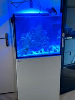 Redsea 200 xl g2 wit, Dieren en Toebehoren, Vissen | Aquaria en Toebehoren, Ophalen of Verzenden, Zo goed als nieuw, Leeg aquarium