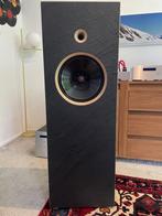 Bastanis Sagarmatha open baffle DI-pole luidsprekers, Gebruikt, 120 watt of meer, Front, Rear of Stereo speakers, Ophalen