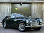 Austin Healey 3000 MKII A CABRIOLET 1963 | Nette staat! Wire, Achterwielaandrijving, Gebruikt, Cabriolet, 4 stoelen