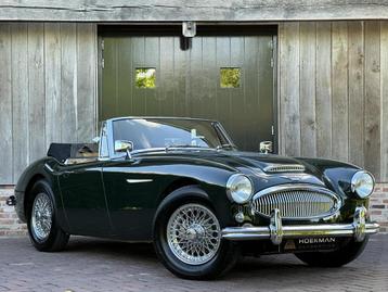 Austin Healey 3000 MKII A CABRIOLET 1963 | Nette staat! Wire beschikbaar voor biedingen