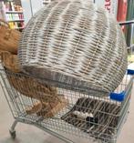 Lamp Ibiza style XL, Ophalen of Verzenden, Vogelkooi