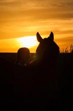 Stalmedewerker aangeboden NH, Ophalen of Verzenden, Zo goed als nieuw