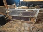 Hooiruif, voerhek, Dieren en Toebehoren, Meerdere dieren, Schaap