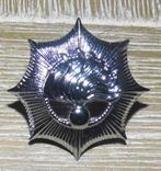 Klein model insigne Rijkspolitie (afmeting 3,1 * 3,1 cm), Verzamelen, Militaria | Algemeen, Embleem of Badge, Nederland, Overige soorten
