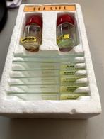 Microscoop Preparaten: 5 objectglaasjes en 2 organismen, Ophalen of Verzenden, Gebruikt, Minder dan 400x, Onderdelen of Toebehoren