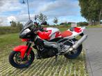 Aprilia Tuono 1000r 2008 - Leovince, Motoren, Motoren | Aprilia, 2 cilinders, Particulier, Naked bike, Meer dan 35 kW