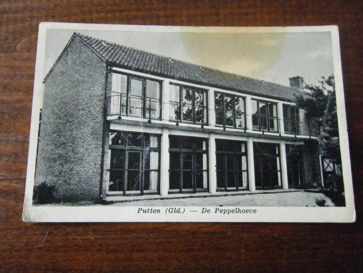 E30 - Putten - Peppelhoeve - Oud, Verzamelen, Ansichtkaarten | Nederland, Gelderland, 1940 tot 1960, Ophalen of Verzenden