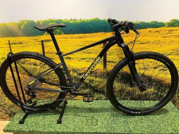 Cannondale Trail SL 2 Mountainbike beschikbaar voor biedingen