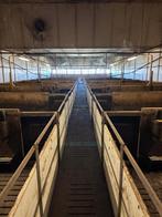 Vleesvarkens inrichting brijvoer [533], Boekhorst Trading, Info@boekhorsttrading.com, Singel 16, Horssen