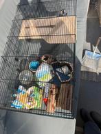 Hamsterkooi 45x80 met accessoires, Dieren en Toebehoren, Knaagdieren en Konijnen | Hokken en Kooien, Kooi, Gebruikt, Hamster, 75 tot 110 cm