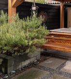 Stenen Plantenbak Tegels, Tuin en Terras, Ophalen of Verzenden, Gebruikt, Steen, Minder dan 60 cm