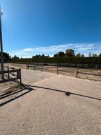 Stalling te huur, Dieren en Toebehoren, Stalling en Weidegang, Stalling