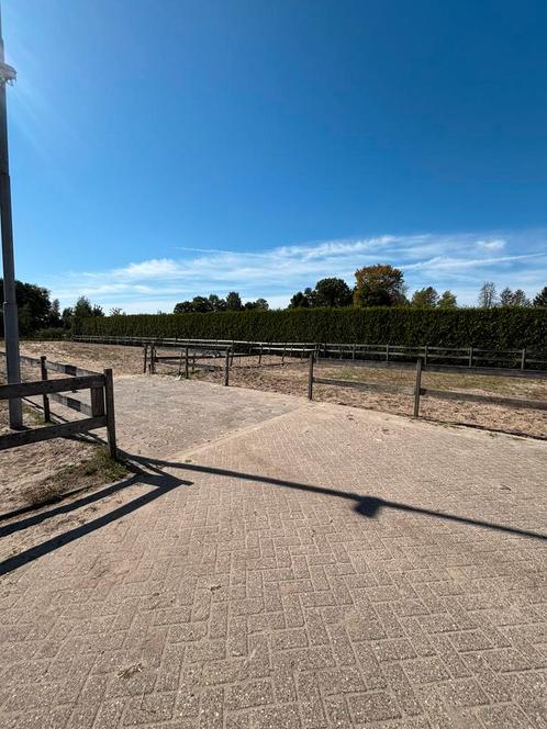 Stalling te huur, Dieren en Toebehoren, Stalling en Weidegang, Stalling