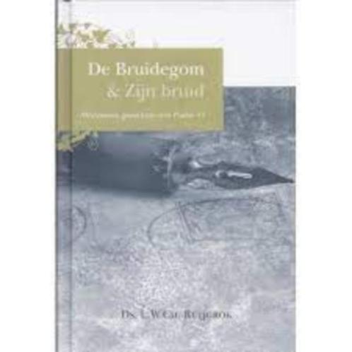 De Bruidegom en Zijn bruid L.W.Ch. Ruijgrok 9033608499, Boeken, Godsdienst en Theologie, Zo goed als nieuw, Christendom | Protestants